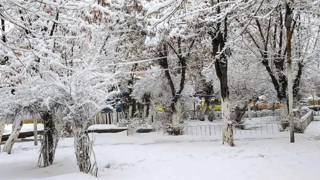 Meteoroloji'den Kuvvetli Kar Yağışı Uyarısı: Doğu ve Karadeniz Dikkat!