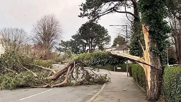 Meteoroloji'den kuvvetli rüzgâr uyarısı: Kuzey kesimlerde sağanak bekleniyor