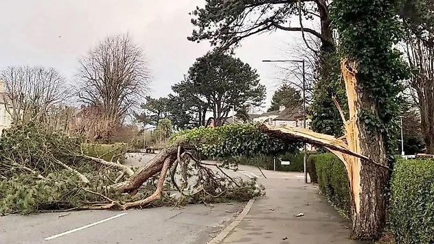 Meteoroloji'den kuvvetli yağış ve fırtına uyarısı