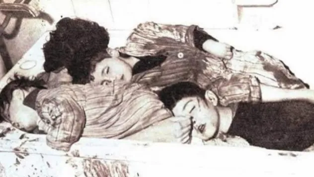 Milli Savunma Bakanlığı'ndan Kanlı Noel açıklaması