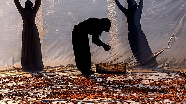 MTÜ ve Battalgazi Belediyesi'nin Fotoğraf Yarışmasında Ödüller Sahiplerini Buldu