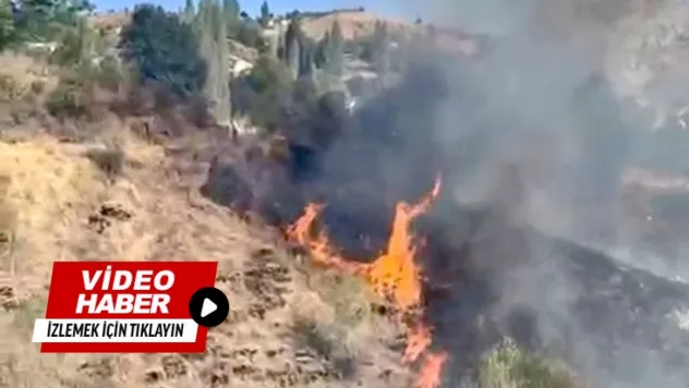 Nohutlu Mahallesi'nde Çıkan Yangına Vatandaşlar ve Ekipler Müdahale Etti