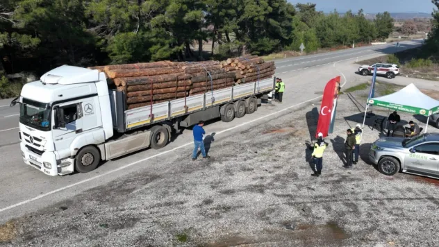Odun Taşıyan Araçlara Yeni Zorunluluk! 1 Aralık'tan Sonra Belgesiz Taşıma Yapılamayacak
