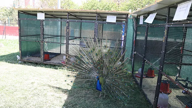 Öğrencilerimize Ve Ailelerine Psikososyal Destek Sağlıyor