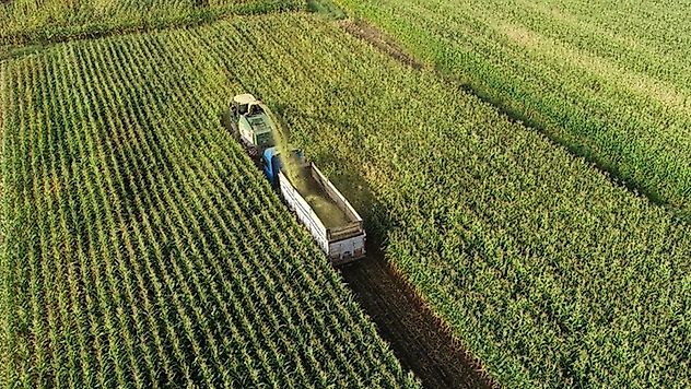 Organize Tarım Bölgeleri Büyüyor: Üretimde 1,1 Milyon Ton Hedefi