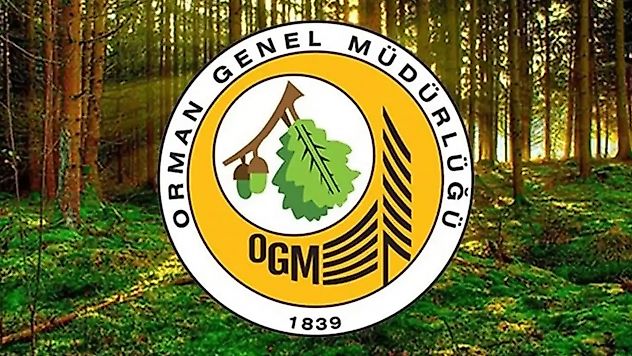 Orman Genel Müdürlüğüne 496 sözleşmeli personel alınacak