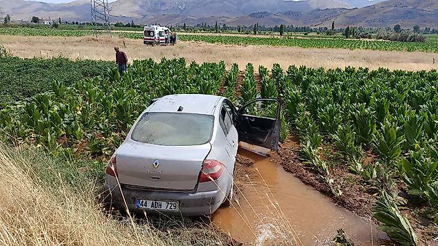 Otomobil tütün tarlasına devrildi: 3 yaralı