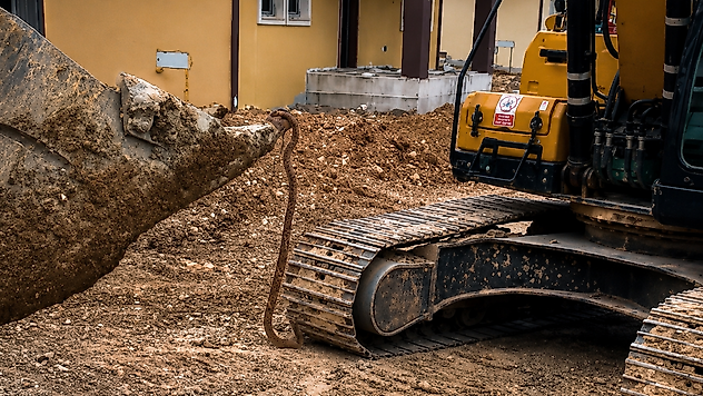 Palanga TOKİ Konutlarında Dev Yılan Alarmı