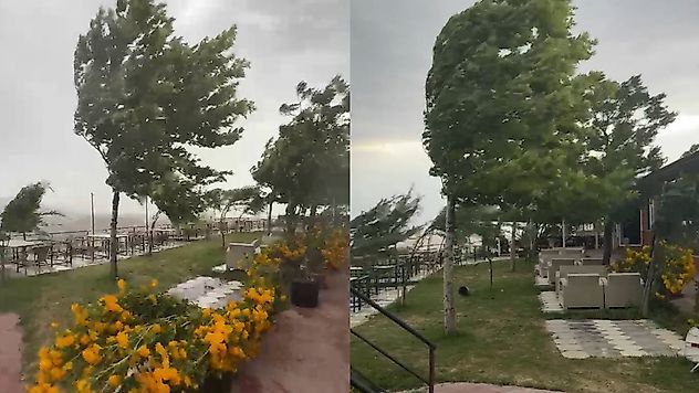 Palu'da fırtına etkili oldu