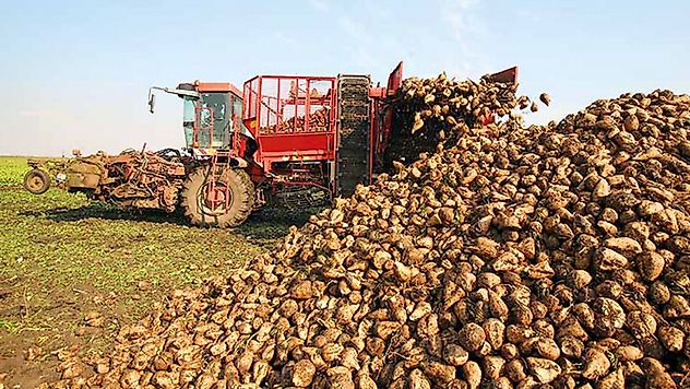 Pancar üreticilerine 2,5 milyar liralık ödeme