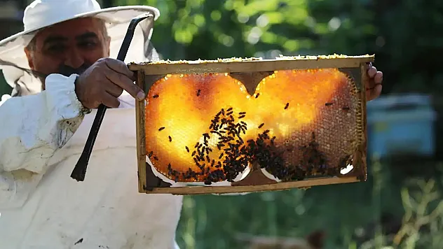 Piyasadaki taklit ve hileli gıda ürünü sayısı bin 418'e yükseldi
