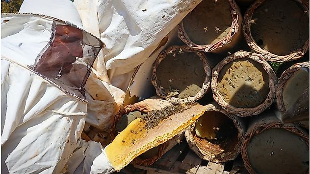 Pütürge'nin 25 Yıllık Arıcısı 310 Kovanda Bal Üretiyor