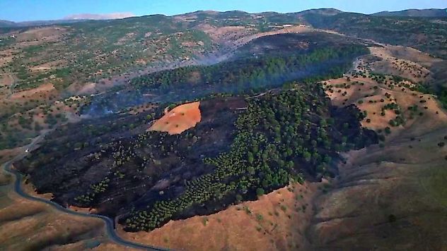 Pütürge'nin 6 Mahallesi'nde Eş Zamanlı Yangın