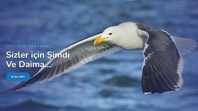 Rusça-Türkçe Çeviri: İki Dil Arasındaki Köprü