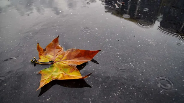 Rüzgâr Yön Değiştiriyor: Marmara'da Kuzey, Diğer Bölgelerde Güney Etkili Olacak
