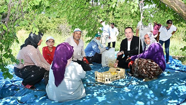 Salih Karademir'den kayısı için kritik çağrı: 'Sarı kayısı 500 TL'nin, gün kurusu 750 TL'nin altında olmamalı'