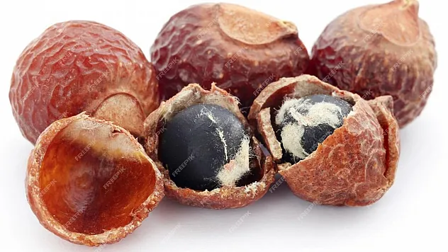 Sıfır Atık İçin Tavsiye Edildi Orman Genel Müdürlüğü Üretti!