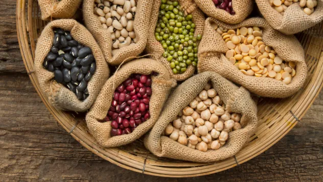 Soya ve Ayçiçek Yağı Zirvede: Ege Hububat İhracatçıları 148 Ülkeye Ulaştı