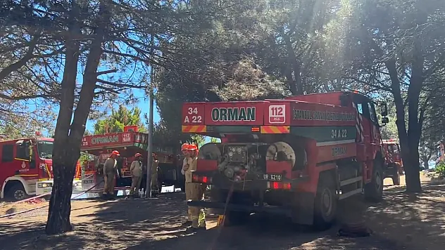 Sultangazi Kent Ormanı'ndaki yangın kontrol altına alındı