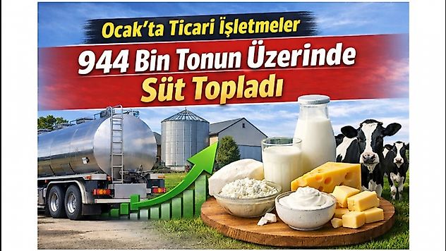 Süt Toplama Artışta: Ocak Ayında 944 Bin 926 Ton İnek Sütü Toplandı