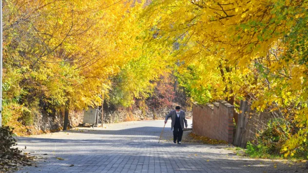 Tarih ve Doğanın Buluşma Noktası