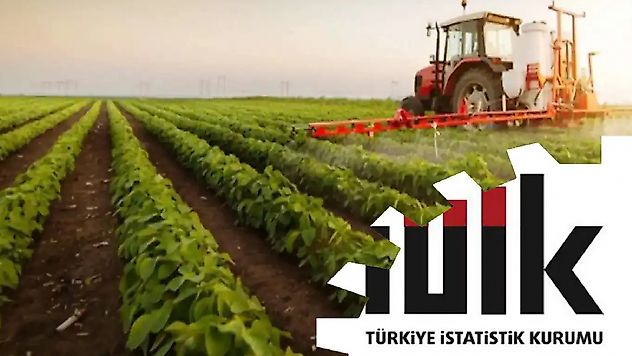 Tarım-GFE Haziran'da Geriledi, Yıllık Artış Yüzde 32'yi Aştı