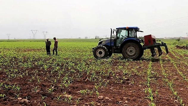 Tarım-ÜFE temmuzda yüzde 18,81 arttı