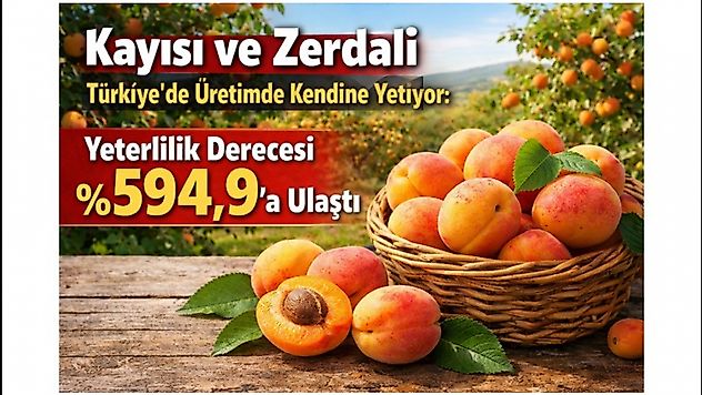 Tarımda Rekor: Kayısı ve Zerdali Üretimi Talebi Altı Kat Karşılıyor