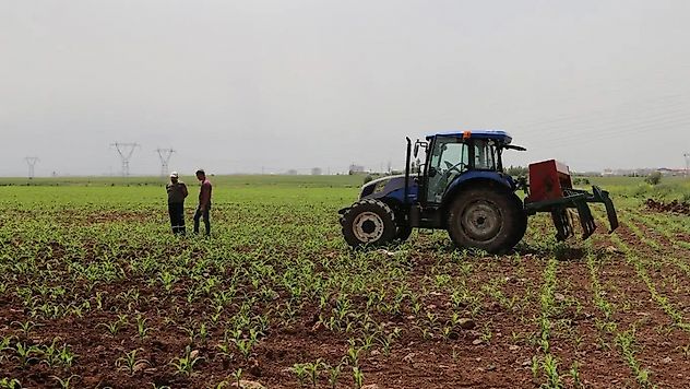 Tarımsal destek ödemesi çiftçilerin hesaplarına aktarılıyor