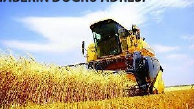 Tarımsal Girdi Fiyat Endeksi