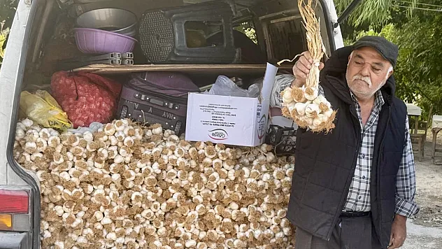 Taşköprü sarımsağı Darende'de ilgi görüyor