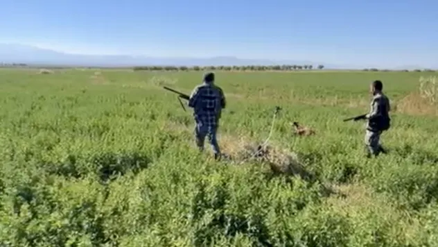 Tavşan, Keklik ve Ördek Avı Sezonu Öncesi Avcıların Kota Krizi