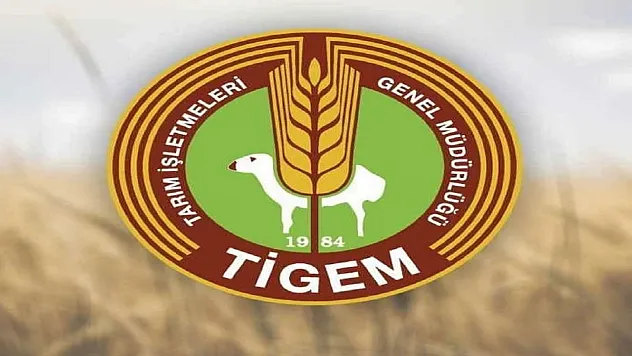 TİGEM'den 5 ton fıstık çamı kozalağı için ihale duyurusu