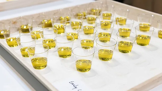 Türk Gıda Sekörü ABD'de Büyük Hedeflere İlerliyor