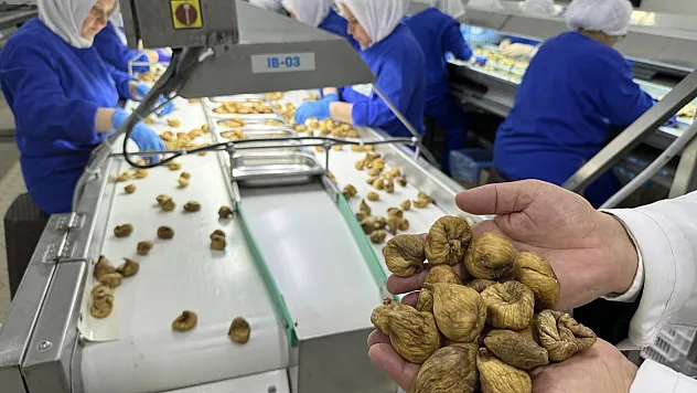 Türk organik sektörünün yeni ihracat hedefi 2 milyar dolar