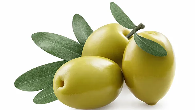 Türk Zeytini Dünyayı Sardı