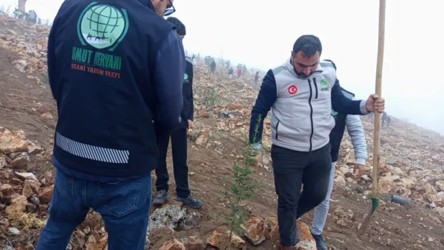 Umut Kervanı'ndan Beydağı'nda Çam Fidanı Seferberliği