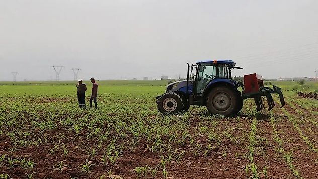 Üretici Maliyetleri Tarımda Tırmanıyor: Meyvede Yıllık Artış %109'u Aştı