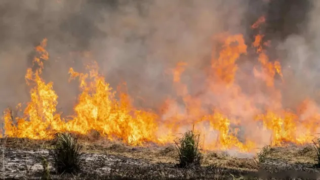 Uşak ve Manisa'daki yangınlar kontrol altında: 3 kişi gözaltında
