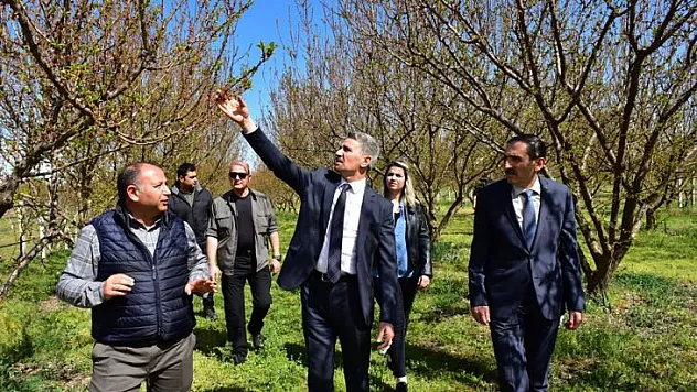 Vali Baruş Zirai Don Nedeniyle Hasar Gören Kayısı Bahçelerinde İncelemelerde Bulundu