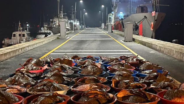 Yapılan denetimlerde yaklaşık 44 ton su ürünü ele geçirildi