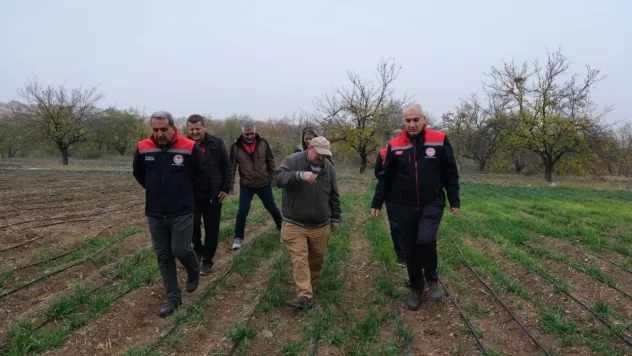 Yarımcahan'da Safran Atağı: Dekarda 900 Gram Başarı