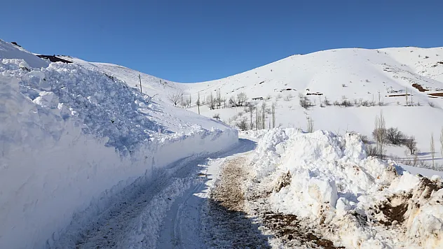 Yaygın Puluşağı'nda Zorlu Mesai: Ekipler 28 Kilometrelik Yolu Açtı
