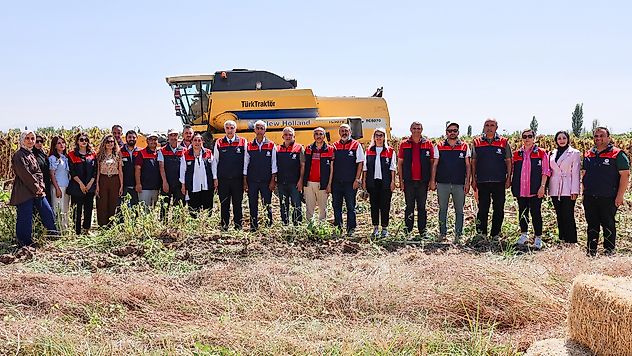 Yazıhan'da Ayçiçeği Bereketi: Dekardan 300 Kilo Bekleniyor