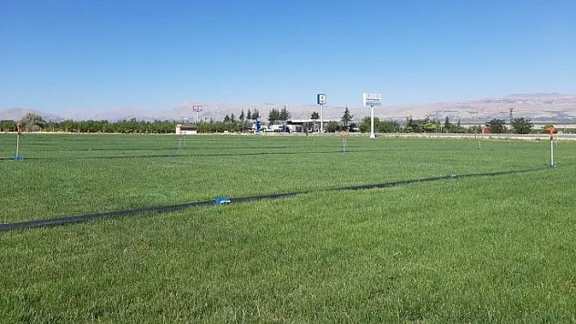 Yeşilyurt Belediyesi Yeşil Alanlarda Kullandığı Doğal Çimi Kendi Tesislerinde Üretiyor