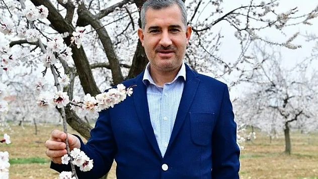 Yeşilyurt'ta ki Kayısı Bahçeleri Muhteşem Atmosferi İle Göz Kamaştırıyor