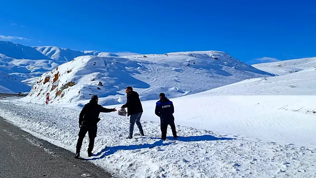 Zabıta'dan Yaban Hayatına Şefkat Eli