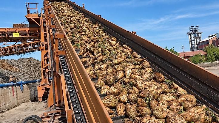 3 Bin 720 Liralık Pancar Fiyatı Tartışma Yarattı