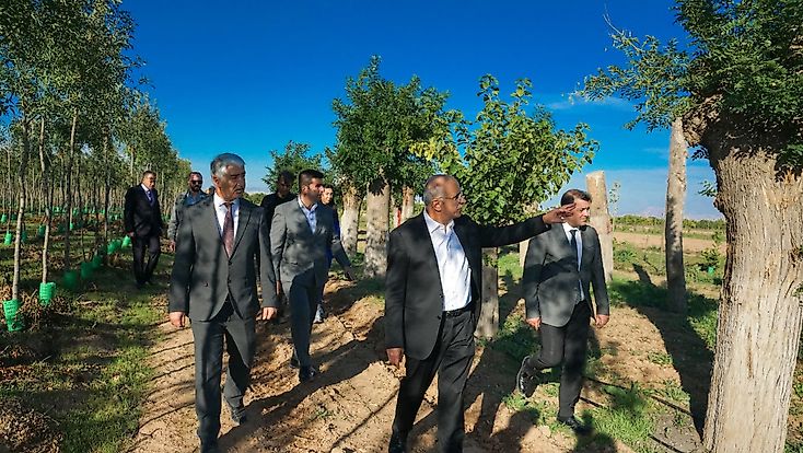 İstanbul’da Ağaç Tartışması, Malatya’nın Örneği Gündem Oldu