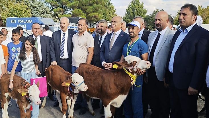 Malatya'da 'En Güzel Buzağı' yarışması düzenlendi